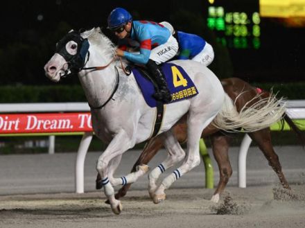 【地方競馬】強敵相手の経験は必ず活きる、高みを目指すチャレンジを