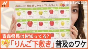 「りんご下敷き」青森県民はみんな知ってる？昭和に“価格暴落”のりんごのPRのために制作か【Nスタ解説】