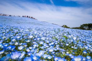 【男性が選ぶ】「地元民しか読めない！」と思う茨城県の市町村名ランキング！　第2位は「行方市」、1位は？