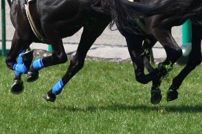 欧州競馬の良血3歳馬に驚愕　短距離戦なのに20馬身差圧勝、英メディア「10馬身以上…」
