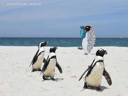 白浜・「アドベンチャーワールド」でペンギンパレード　4年ぶりに再開へ