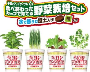 日清、「カップヌードル」のカップを再利用する野菜栽培セット発売　「謎土」入り