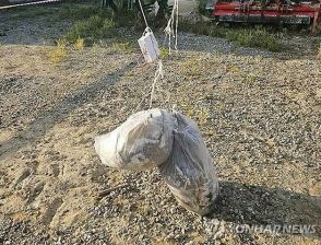 北朝鮮が散布か　汚物など下げた約90個の風船確認＝韓国軍