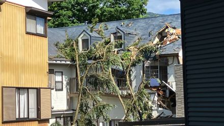 富士山の麓で昨夜、突風か　車に倒木で男性が救急搬送　気象台が調査へ