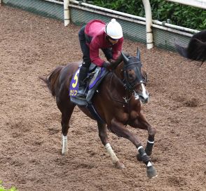 【安田記念】セリフォス坂路で微調整56秒９、中内田師「非常にいい状態」／G1追い切り速報