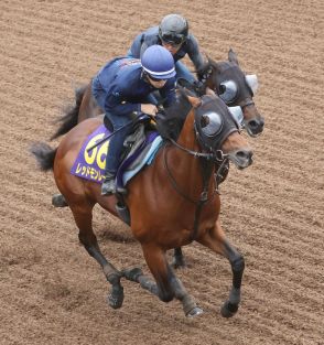 【安田記念】レッドモンレーヴは美浦坂路で１馬身先着　蛯名正師「体はフレッシュで状態いい」