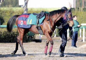 【ＰＯＧ】新種牡馬ナダル産駒のカルデライトに森一調教師「スピードが有り余っている」初戦はルメール騎手で