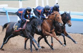 【安田記念】ジオグリフ、3頭併せで追い切り　木村師「いつも通りの追い切りで順調にきています」