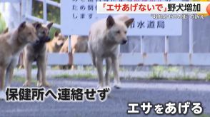 「エサを与えないで」野犬の捕獲数が増加し…住民に被害も　7年連続“殺処分ゼロ”の街が訴え　岡山市