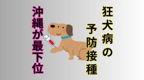 狂犬病の予防接種を!例年沖縄が接種率ワースト