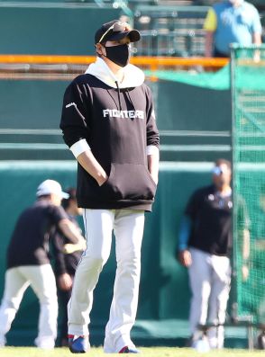 【日本ハム】新庄監督かつての“ホーム”甲子園でトンボ掛け　指揮官として甲子園初勝利狙う