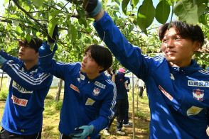 新潟・奥村＆石山　試合経験生かしてプレス剥がす　6月1日に首位・町田戦　連敗中のチーム活気づける