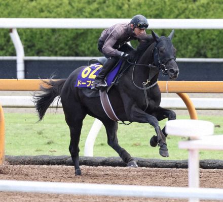 【安田記念】ドーブネ　ここ目標に好仕上げ、武幸師「順調と思ってもらって大丈夫」