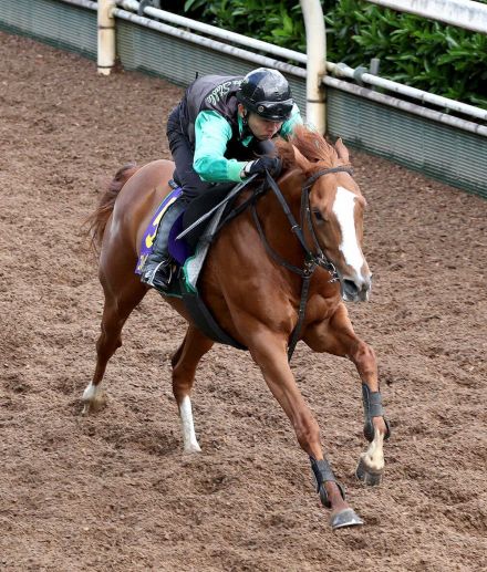 【安田記念】コレペティトール　躍動感あふれる動き、中竹師「満足のいく仕上がり」