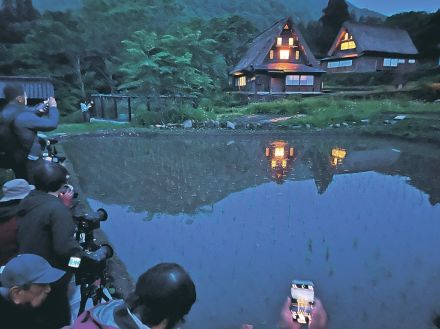 早苗田の合掌 思う存分撮影　富山県南砺市・相倉集落で初の夜間鑑賞日