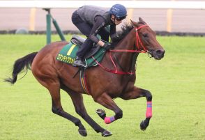 【安田記念】ロマンチックウォリアー「馬自身はハッピーそう」順調な調整続く