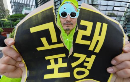 ［フォト］「捕鯨やめろ！」…動物権活動家たちが在韓日本大使館前で抗議