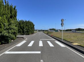 横断歩道の白線、間隔広げてOK　45～50センチ→90センチに