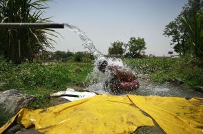 インド首都、最高気温52.9度は観測装置の「不具合」か