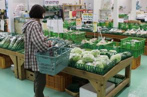 野菜高騰 家計に打撃、冬～春の天候不順でダイコン、キャベツの入荷量減【宇部】