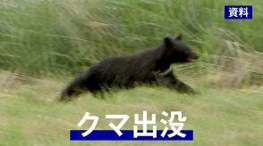 県立病院近くの畑で子グマ1頭を目撃　警察が周囲を警戒　岩手・二戸市