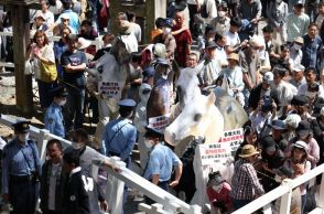 虐待批判の「上げ馬神事」　大幅改善で無事に終わったものの…