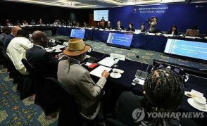 初開催の韓国・アフリカ首脳会議に48カ国参加　25カ国から元首出席