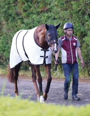 【安田記念】調教後の馬体重　セリフォスは５０８キロ