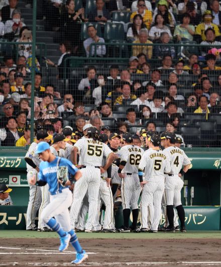 【阪神】午後７時、薄暮の甲子園で渡辺諒が飛球を見失う　木浪聖也が気付いてダイレクト捕球