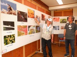 宮ケ瀬の「春の妖精」から生き物まで　相模原・鳥居原ふれあいの館で写真展