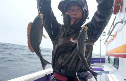 梅雨入り前から〝梅雨イサキ〟が絶好調！千葉県大原港『つる丸』