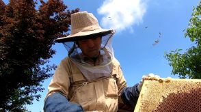 「山梨の養蜂を盛り上げていきたい」　祖父が始めた養蜂業受け継いだ男性　新ブランド立ち上げも