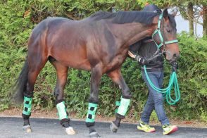 【今週の注目新馬】西の一番星狙うジャスタパーティー　日曜東京の隠れた〝好走候補〟ユリヤテソーロ