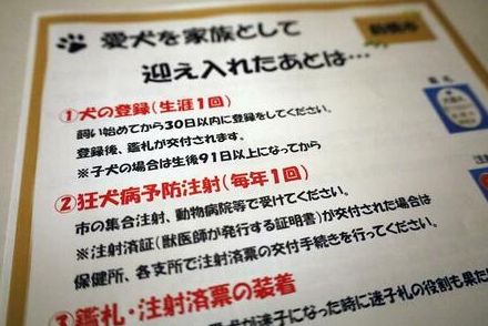 狂犬病「世界では毎年5万5千人が犠牲に」 沖縄の予防接種52.2%　8年連続で全国ワースト