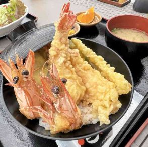 芦北町「えび庵」来客10万人　八代海の新鮮な魚介が魅力