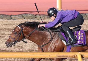 【宝塚記念】ドウデュース反応鋭く11秒２　友道師「疲れ知らずの馬」17日栗東帰厩後も元気