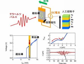 超伝導体にテラヘルツ波を照射、臨界電流が大きく変化