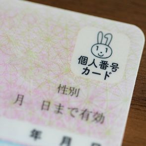 インボイス、マイナンバーに対して、ろくにストやデモもしない日本人の末路…米国のいいなりの日本政府、政府のいいなりの国民