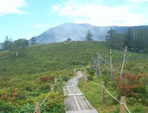 6月が見ごろ「レンゲツツジ」絶景の山　駐車場から30分で山頂、登山デビューにも最適!