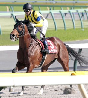 重賞２勝馬ソーヴァリアントが左前肢第一趾骨を骨折　社台ホースクリニックで手術へ