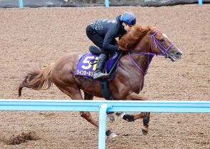 【安田記念】ウインカーネリアン坂路でしまい伸ばし13秒６、千島助手「枠なりの競馬できれば」