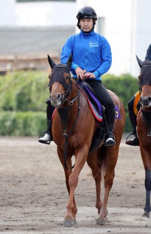 【安田記念】ジオグリフ肌つや良く、適度な気合乗り　木村師「いい体調で競馬に向かえるように」