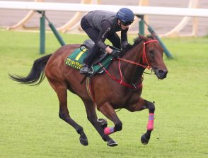 【安田記念】７番ロマンチックウォリアー「ラッキー７ということで陣営として満足」Ｃ・シャム師