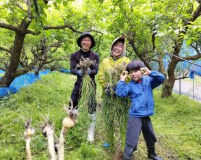 家族で みなべ町へ！　梅収穫ワーケーション、キッズスクール始める、和歌山