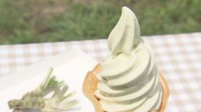 甘い?辛い?「わさびソフト」牧場併設のカフェ、しぼりたてミルクをソフトクリームに…福島