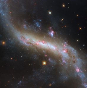 星形成領域が彩る“おとめ座”の棒渦巻銀河「NGC 4731」　ハッブル宇宙望遠鏡が撮影