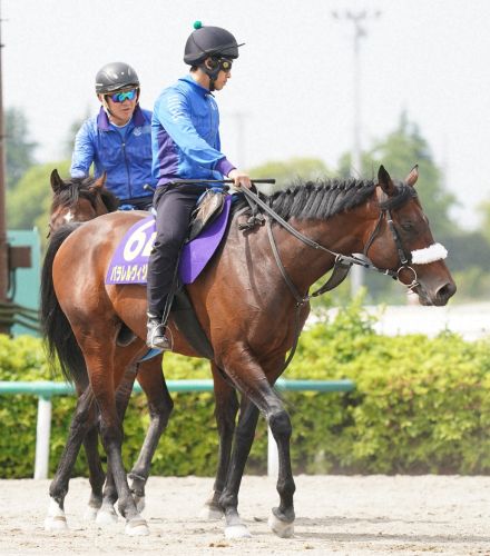 【安田記念】（9）パラレルヴィジョン　G1初挑戦も国枝師「大丈夫じゃないかな。ルメさんだし」