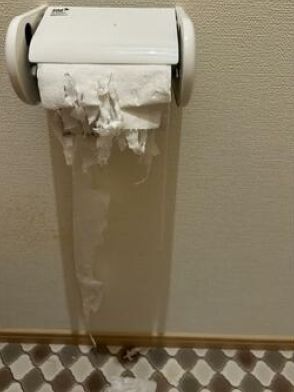 久々の犯行によりトイレットペーパーがボロボロ　犯人から反省の色は見られず…「してやったり」な猫に反響