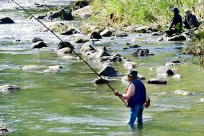 太公望 日の出とともに 糸を垂れ…鹿児島市・甲突川　初夏を彩るアユ漁、県内河川で解禁