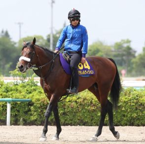 【安田記念】パラレルヴィジョン坂路で力強い動き、国枝師「馬はどっしりと、淡々としている」